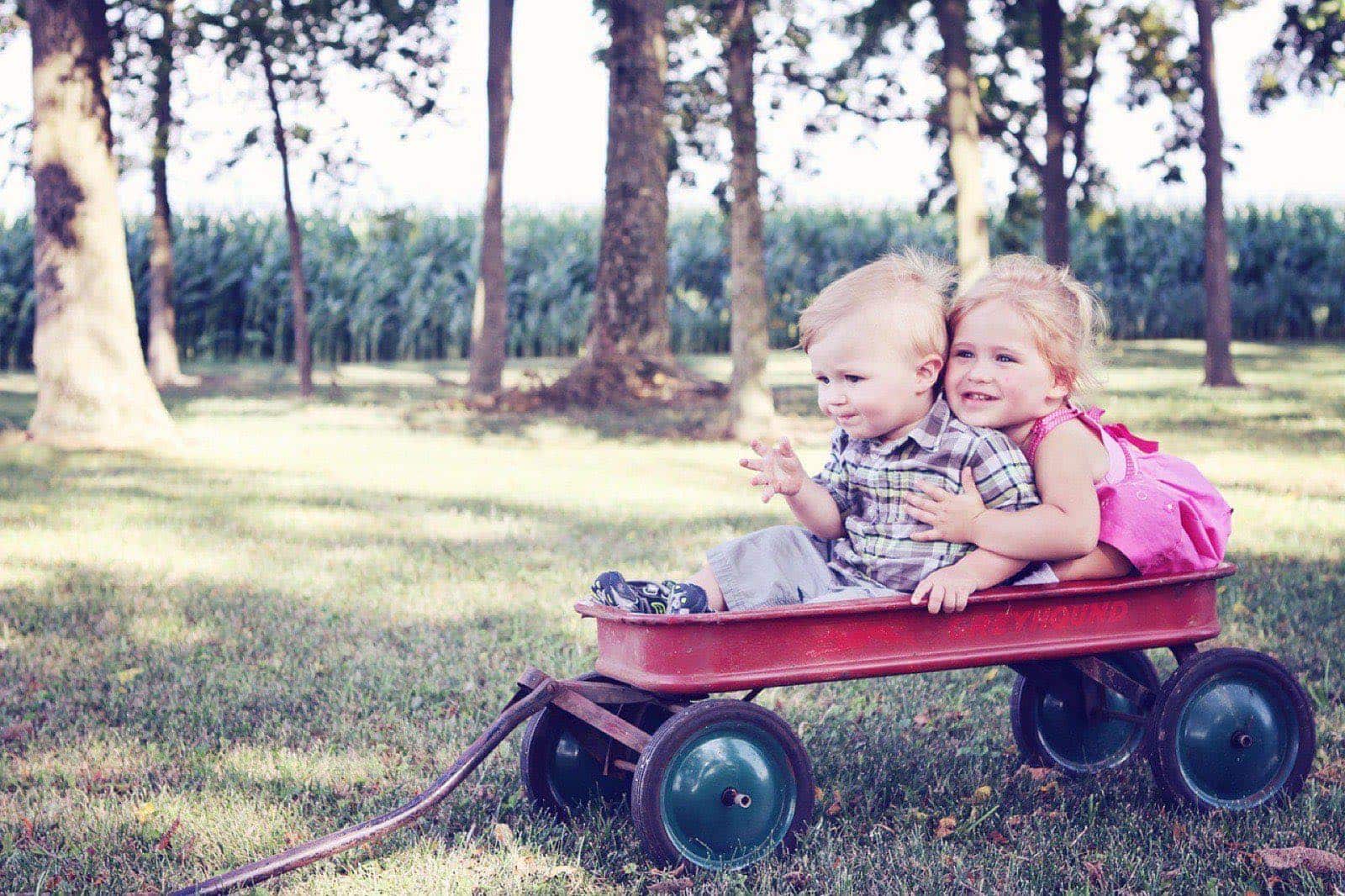 Dos niños pequeños sentados juntos en un carrito rojo de madera, sobre el pasto de un parque con árboles al fondo